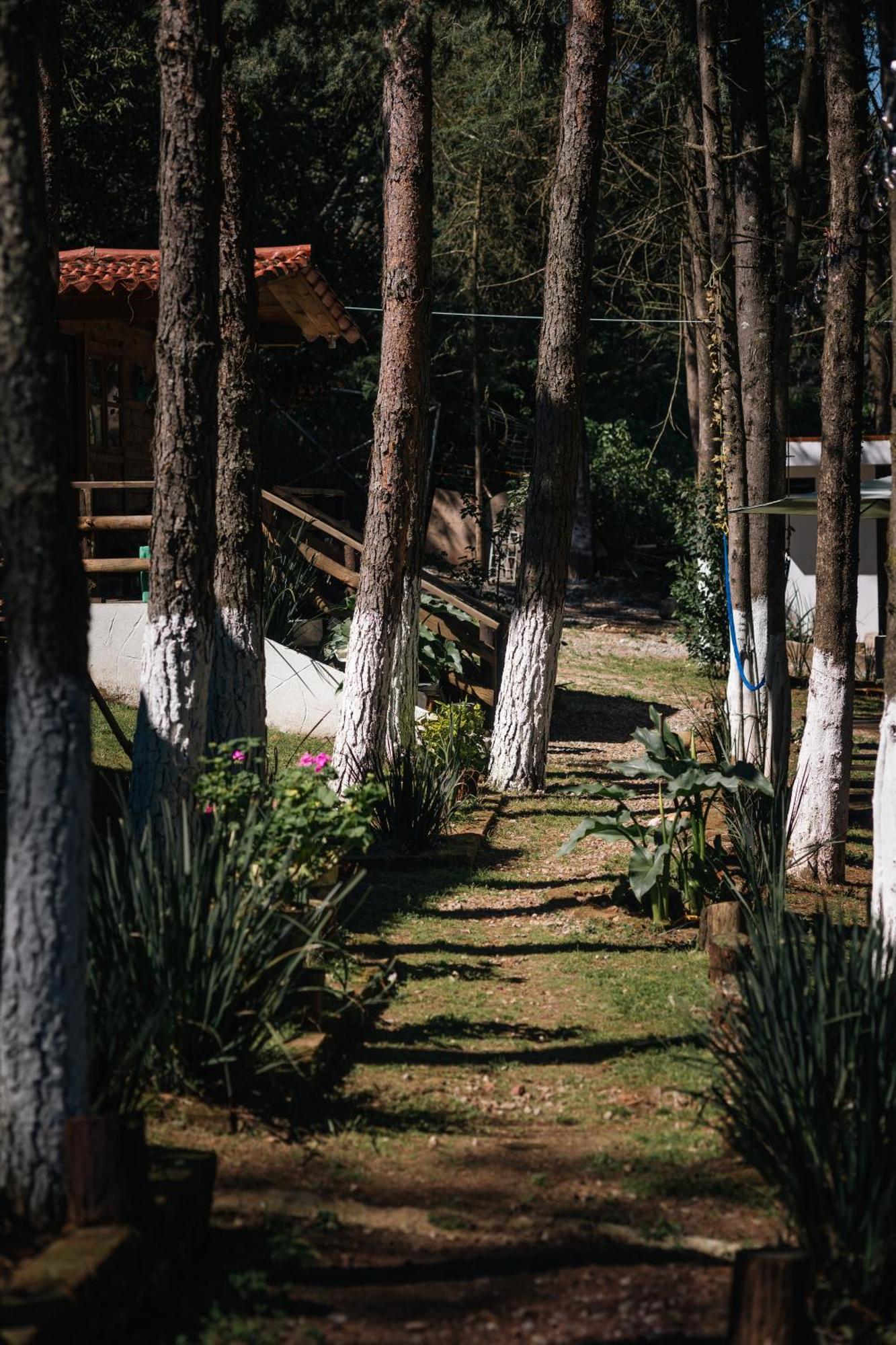 El Descanso Casa-Hotel Zacatlan. Exteriér fotografie